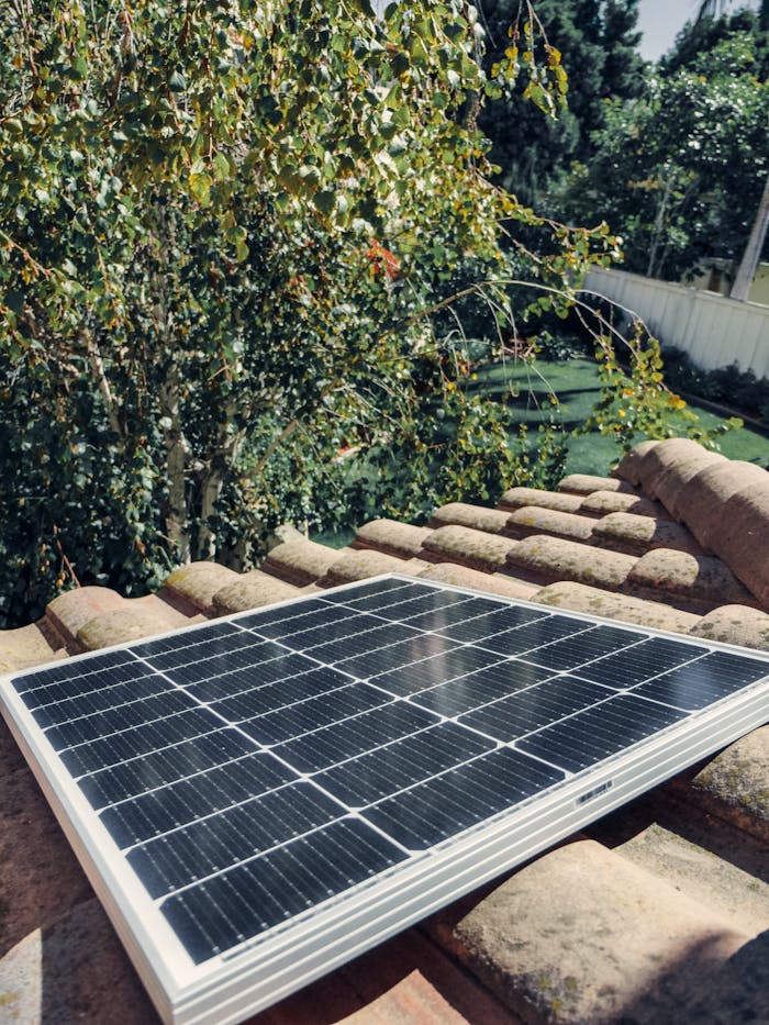 A solar panel installed on a rooftop surrounded by greenery, capturing sunlight for renewable energy.